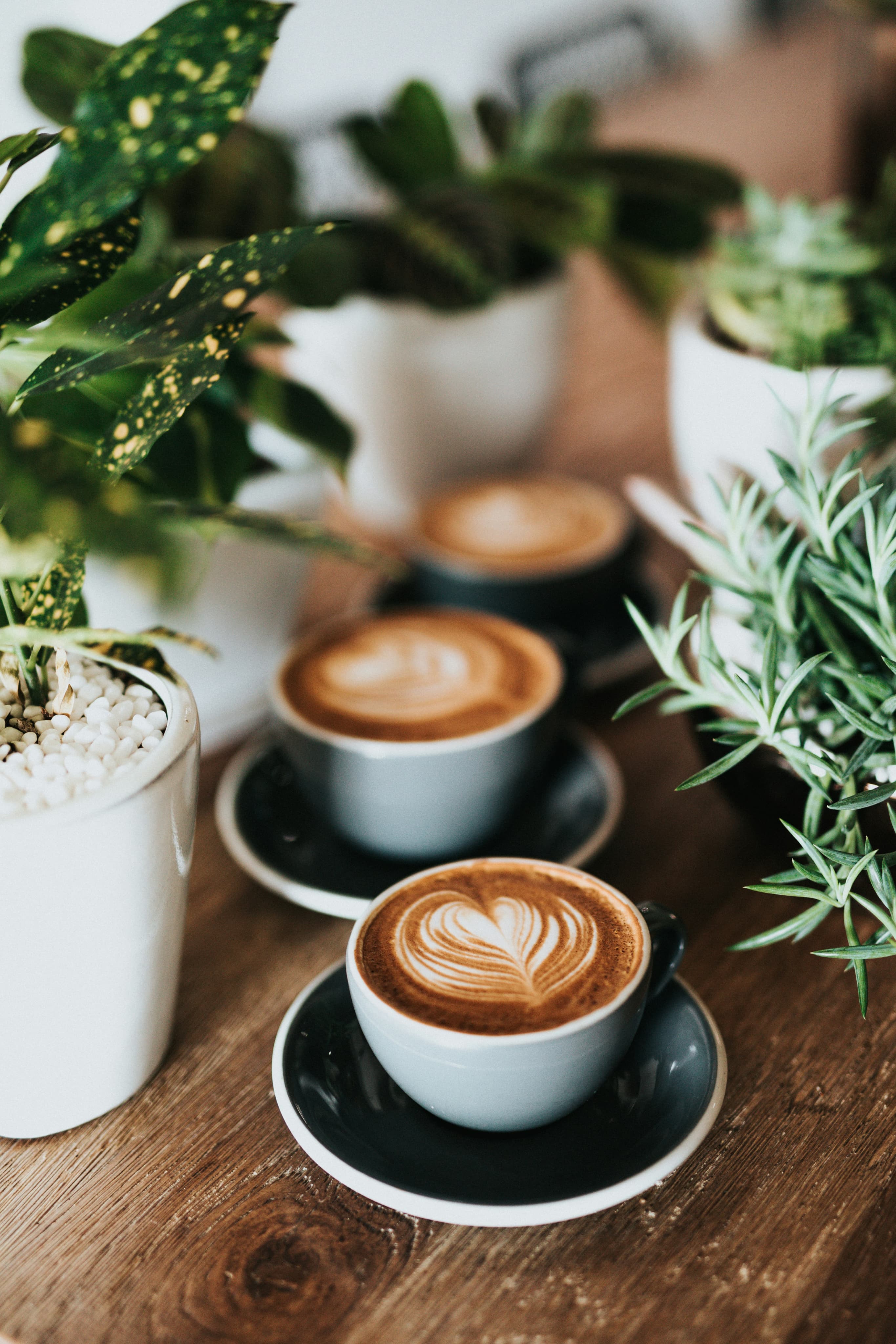 BLENZ COFFEE