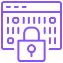 Data Encryption Icon