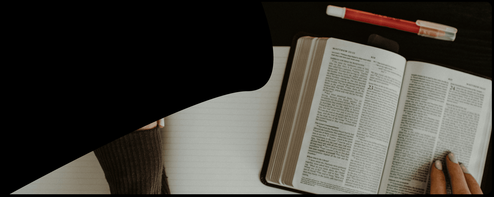 Header Image